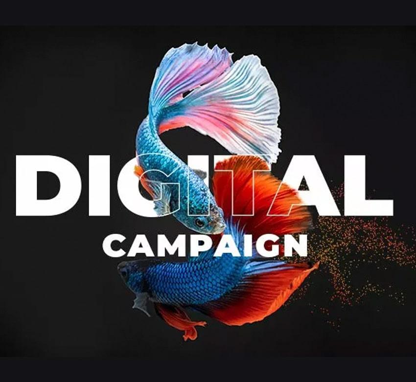 Digital Ad Campaigns